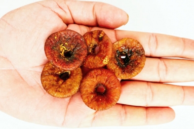 Can you take Soaked Anjeer every day?