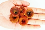 Soaked Anjeer new updates, Soaked Anjeer health benefits, can you take soaked anjeer every day, Ageing