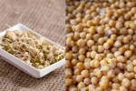 Sprouts vs Boiled Chana which is better, Sprouts vs Boiled Chana breaking, sprouts vs boiled chana for weight loss, Slow mo