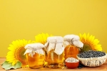 Sunflower Oil latest, Sunflower Oil long term effects, long term effects of consuming sunflower oil on heart health, Products