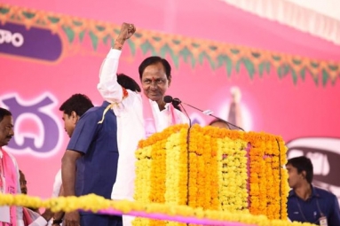 Telangana NRIs Vow to Support TRS In Future Bids