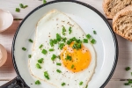 health benefits, cholesterol, top 5 benefits of eggs that ll make you to eat them every day, Chicken
