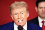 Donald Trump Tariff War with India latest, Steve Hanke about Donald Trump, top us economist on trump s tariff war with india, Depression