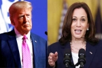 Donald Trump, US Presidential Polls results, ai predictions on us presidential polls, Kamala harris