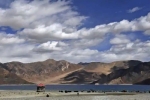 disengagement, borders, india orders china to vacate finger 5 area near pangong lake, Galwan valley