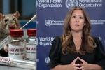 WHO Responds on Hantavirus Outbreak