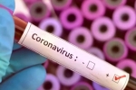 Vaccine for coronavirus, Cure for coronavirus, who warns covid 19 may never go away then what s the future of the world, Us federal reserve