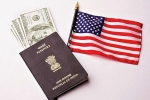 Immigration, Immigration, work permit of h1b visa holder s spouses will be refused, Hib visa