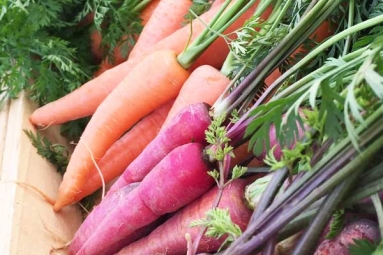 Which Carrot is More Beneficial for Health?