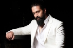 Yash Toxic heroine, Yash Toxic heroines, bollywood beauty to romance yash, Monster