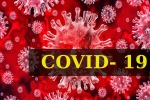 Coronavirus, World Health Organization, who renames the deadly coronavirus as covid 19, Spanish flu