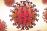 Coronavirus, Coronavirus internal organs, coronavirus is not related to respiratory system says study, Heart failure