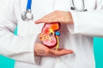 Kidney Health food, Kidney Health fruits, top fruits that are good for kidney health, Kidney health