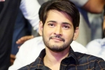 , actor mahesh babu, actor mahesh babu s bank accounts frozen by gst dept over tax dues, Service tax