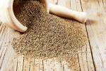 Carom Seeds news, Ajwain, benefits of adding carom seeds to your diet, Remedies