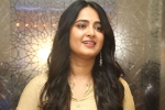 Anushka latest updates, Naveen Polishetty, anushka s next project updates, Sundeep kishan