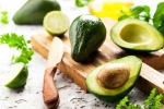 Avocado breaking, Avocado uses, add avocado in your diet to lose weight, Crashes