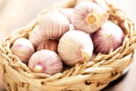 Chinese garlic banned, Chinese garlic breaking, how to identify banned chinese garlic in the indian market, Rajkot