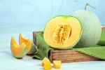 Muskmelon Seeds study, Muskmelon Seeds study, health benefits of muskmelon seeds, Cakes