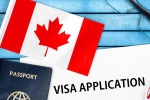 Canada's study visa approvals shocker, Canada's study visa approvals for students of India, canada s study visa approvals for indian students to drop by 50 in 2024, Indian origin