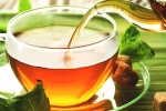 green tea, properties, is consuming tea linked to immunity, Chamomile tea