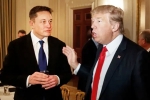 Elon Musk, Elon Musk for Donald Trump, elon musk donates for donald trump s campaign, Donor