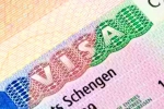 Schengen visa, Schengen visa for Indians 2024, indians can now get five year multi entry schengen visa, Nia