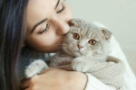 cats pets, International Cat Day, international cat day reasons why being a cat owner is good for health, Autism