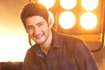 Mahesh Babu latest, Mahesh Babu next movie, mahesh babu getting bollywood beauty for his next, Sarileru neekevvaru