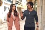 Manmadhudu 2 movie review and rating, Manmadhudu 2 Movie Tweets, manmadhudu 2 movie review rating story cast and crew, Rahul ravindran