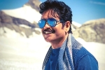 Nagarjuna, Nagarjuna new movie, nag in a bollywood remake, Manmadhudu 2