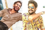 Naga Chaitanya upcoming projects, Bangarraju, naga chaitanya gearing up with two films, Sushant