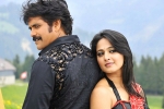 Nagarjuna news, Anushka latest, nag and anushka to team up, Om namo venkatesaya