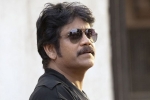 Nagarjuna new, Nagarjuna new, nag signs a bollywood flick, Devadas