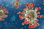 China Covid Row review, China Covid Row review, new china coronavirus variant traced in india, China covid 19