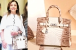 nita ambani's bag cost, himalaya birkin bags, nita ambani s crocodile skin handbag worth rs 2 6 cr studded with 240 diamonds goes viral, Handbags