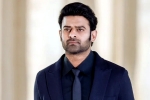 Maruthi, Prabhas pan Indian film, new updates of prabhas and maruthi film, Boman