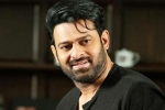 Prabhas next movie, Prabhas Project K breaking news, prabhas to join project k from november, Ashwini dutt