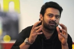 Prabhas, Prabhas movie updates, two young beauties in talks for prabhas next, Pelli sandad