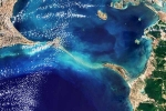 Ram Setu pictures latest, Ram Setu pictures Europe, ram setu s pictures from the space, Birds