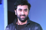 Ranbir Kapoor updates, Anushka Sharma, ranbir kapoor s cameo in srk s next, Ae dil hai mushkil