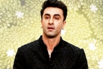 Ranbir Kapoor news, Ranbir Kapoor news, ranbir kapoor explains on being called a cheater, Vicky kaushal