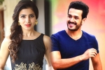 Akhil Akkineni, Samantha movies, samantha and akhil to clash in august, Bollywood films