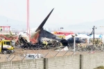 South Korea Plane Crash new updates, South Korea Plane Crash latest, pilot made mayday call and mentioned bird strike in south korea plane crash, Rescue