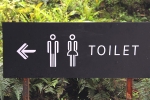 public toilet, public toilet, 6 things you should never do in a public toilet, Toilet paper