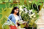 Qatar, NRI in Qatar, this nri in qatar keen on farming is going green, B m kutty