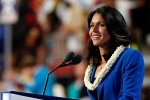 president, democrat, tulsi gabbard likely to run for u s presidency in 2020 sources, Kain