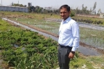 agriculture, organic farming, this u s return mba graduate is transforming a village barren land into an organic farming facility, Yamuna