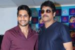 Akhil, Naga Chaitanya, akkineni fans to have a double treat, Saahasam swaasaga saagipo