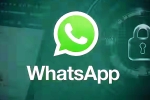 iOS Testing Multi-Account Support for WhatsApp breaking news, iOS Testing Multi-Account Support for WhatsApp breaking updates, whatsapp for ios testing multi account support, Whatsapp for ios